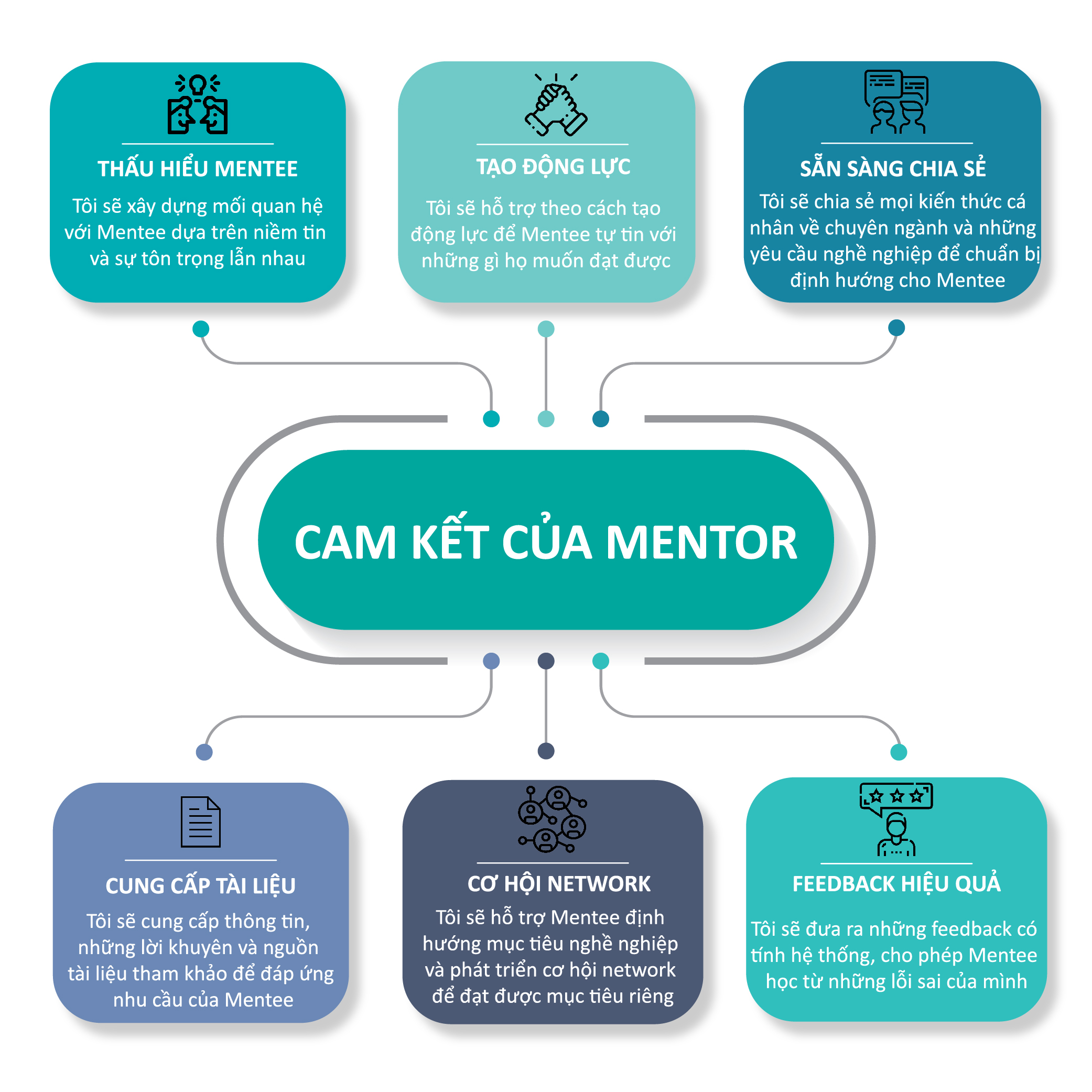 Cam kết của Mentor